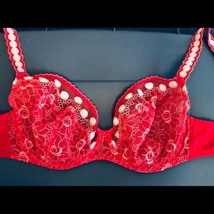 Gorgeous French Embroidered Maison Lejaby bra 34DD